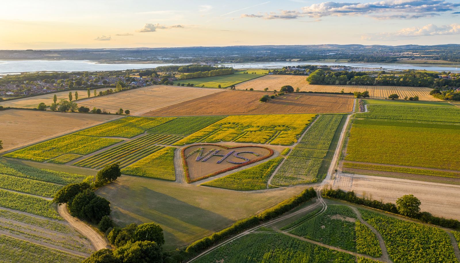 Drone Shot of Hayling Island Sunflower Fields and NHS Sign
